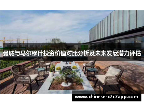 曼城与马尔穆什投资价值对比分析及未来发展潜力评估 曼城与马尔穆什投资价值对比分析及未来发展潜力评估