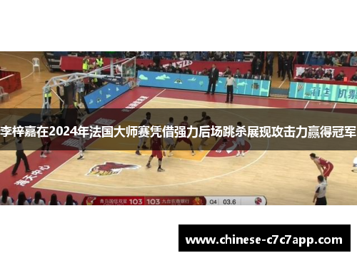 李梓嘉在2024年法国大师赛凭借强力后场跳杀展现攻击力赢得冠军 李梓嘉在2024年法国大师赛凭借强力后场跳杀展现攻击力赢得冠军