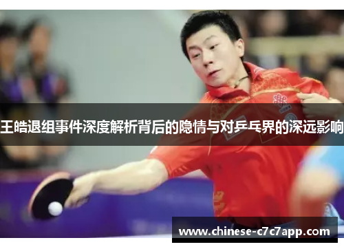 王皓退组事件深度解析背后的隐情与对乒乓界的深远影响