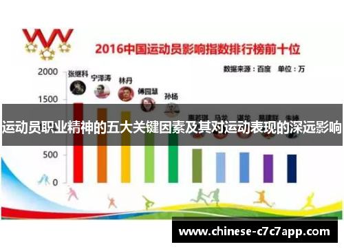 运动员职业精神的五大关键因素及其对运动表现的深远影响 运动员职业精神的五大关键因素及其对运动表现的深远影响