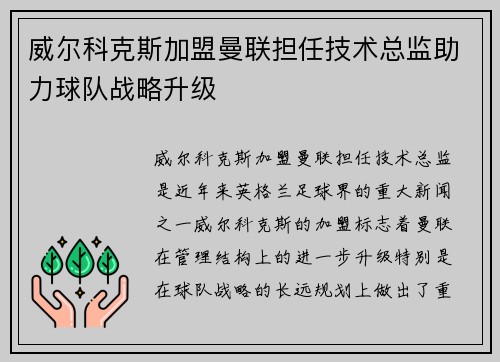 威尔科克斯加盟曼联担任技术总监助力球队战略升级
