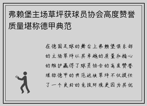 弗赖堡主场草坪获球员协会高度赞誉质量堪称德甲典范